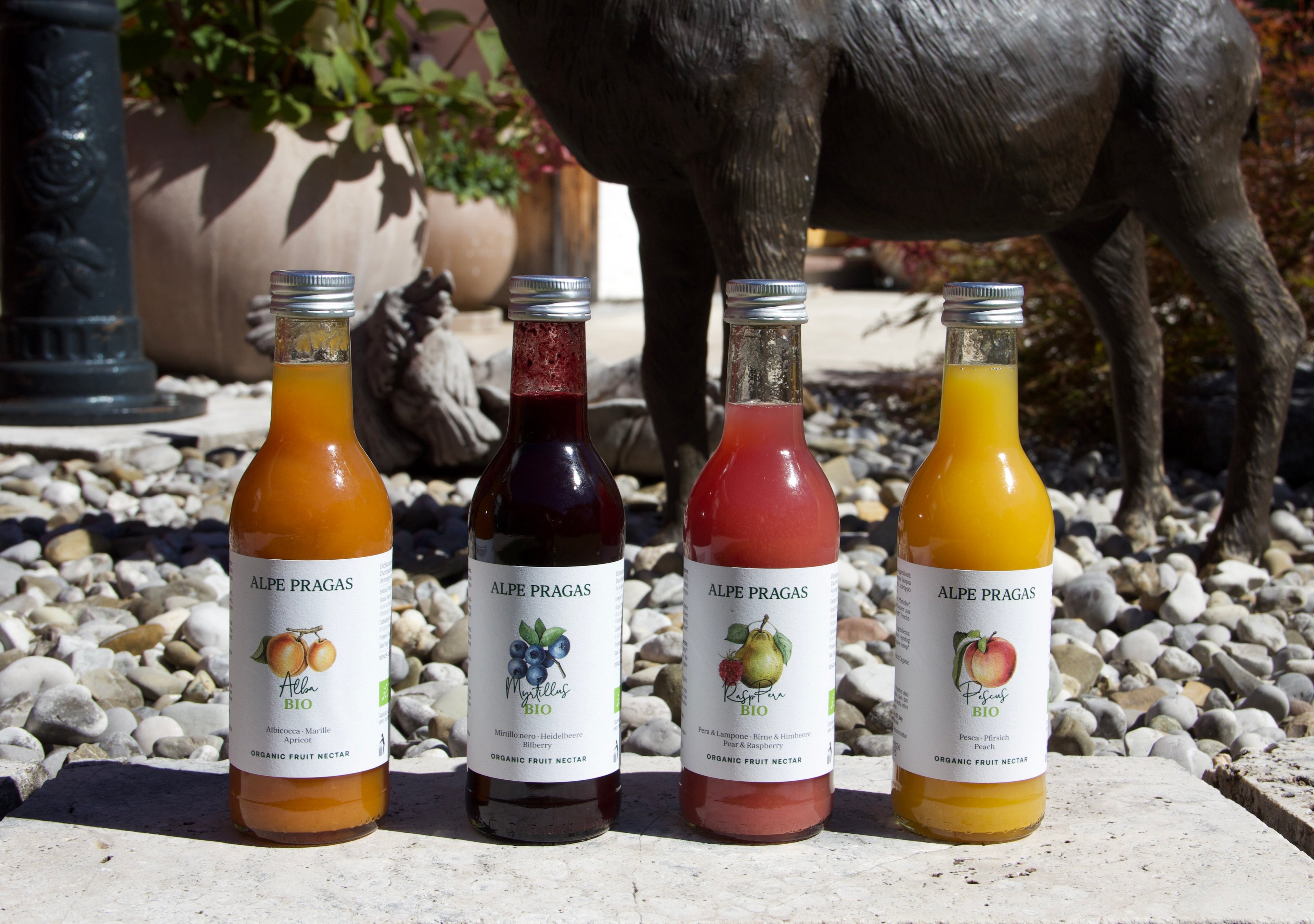 Alpe Pragas Tasting Set